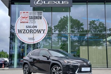 UX 250h | Business Edition | FV23% | Salon PL | ASO | Bezwypadkowy |