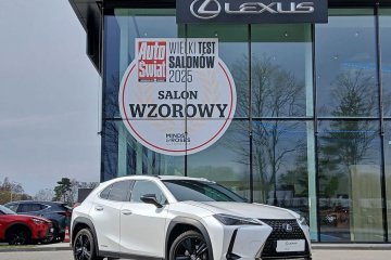 UX 250h | F Impression | Vat Marża | Salon PL | Serwis ASO |