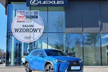 UX 250h | Business + Techno | FV23% | Salon PL | Serwis ASO | 1 wł