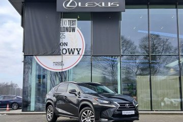 NX 200t | Comfort | AWD | FV23% | Salon PL | Bezwypadkowy | Kamera |