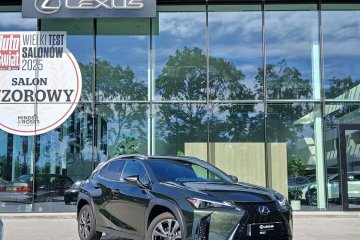 UX 300h | F Sport Design | FV23% | Salon PL | ASO | Bezwypadkowy |