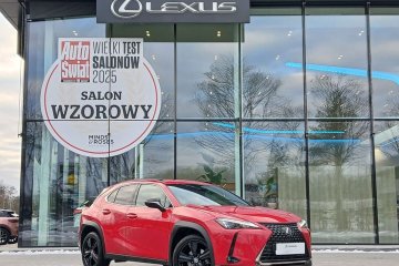 UX 200 | F Impression | Vat Marża | Salon PL | Bezwypadkowy | ASO |