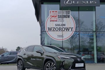 UX 300h | F Sport Design | FV23% | Salon PL | ASO | 1 wł. | DEMO |